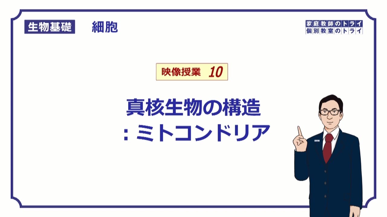 【生物基礎】　細胞10　ミトコンドリア　（１７分）