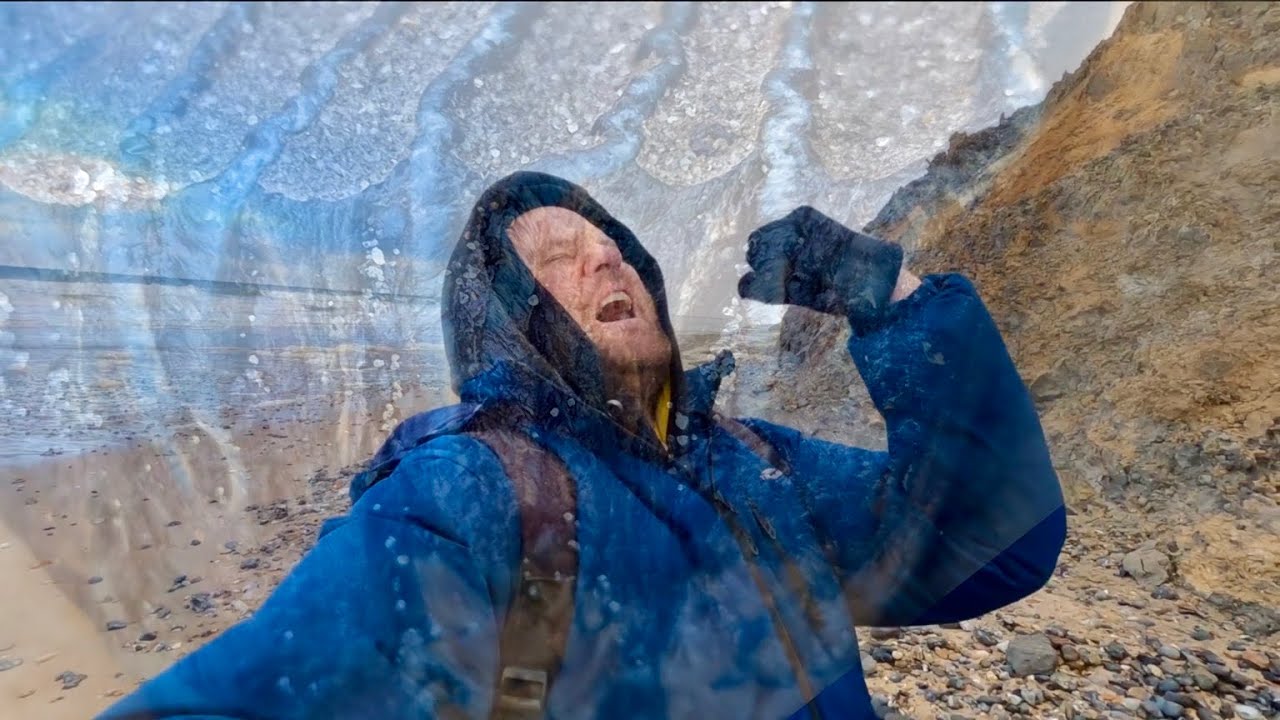 Fossil Hunting Finds