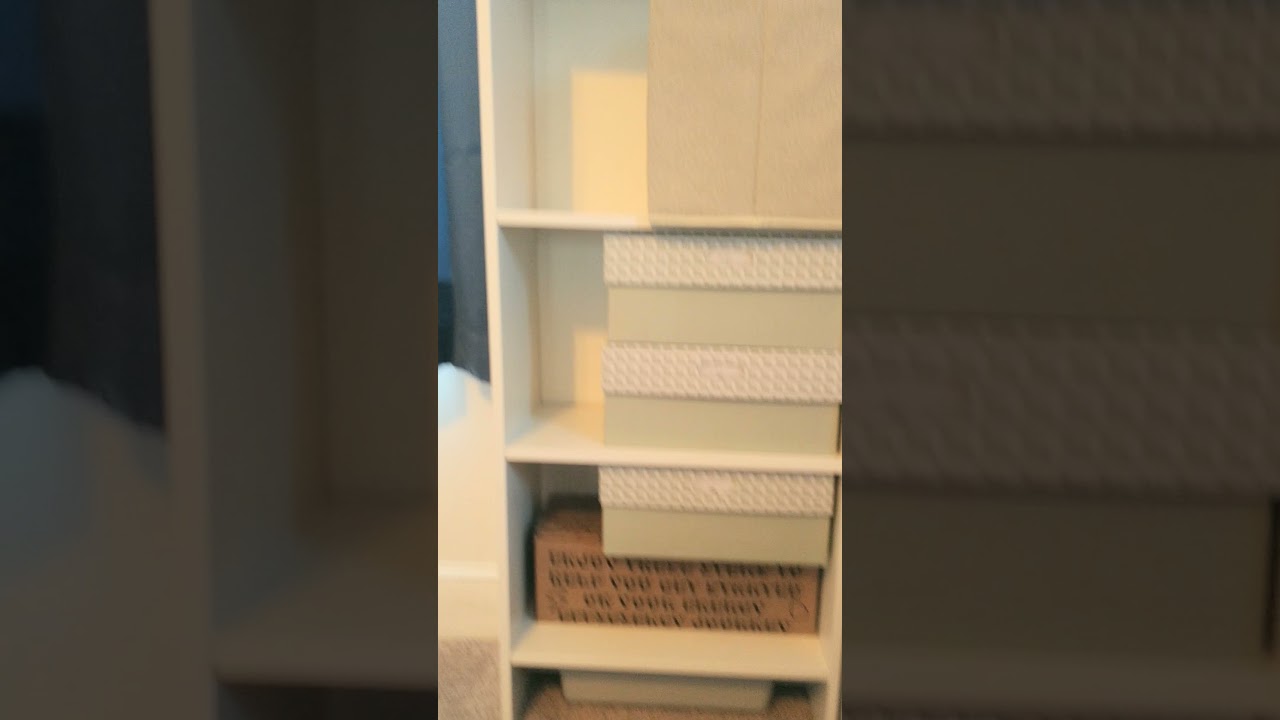Ikea Baggebo Bookcase