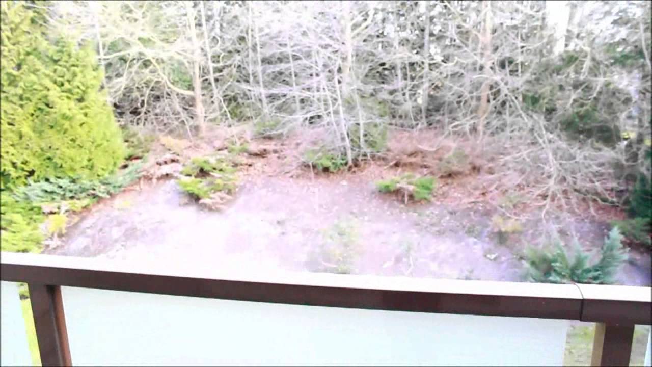 NEW PLACE TOUR & QUESTIONS!
