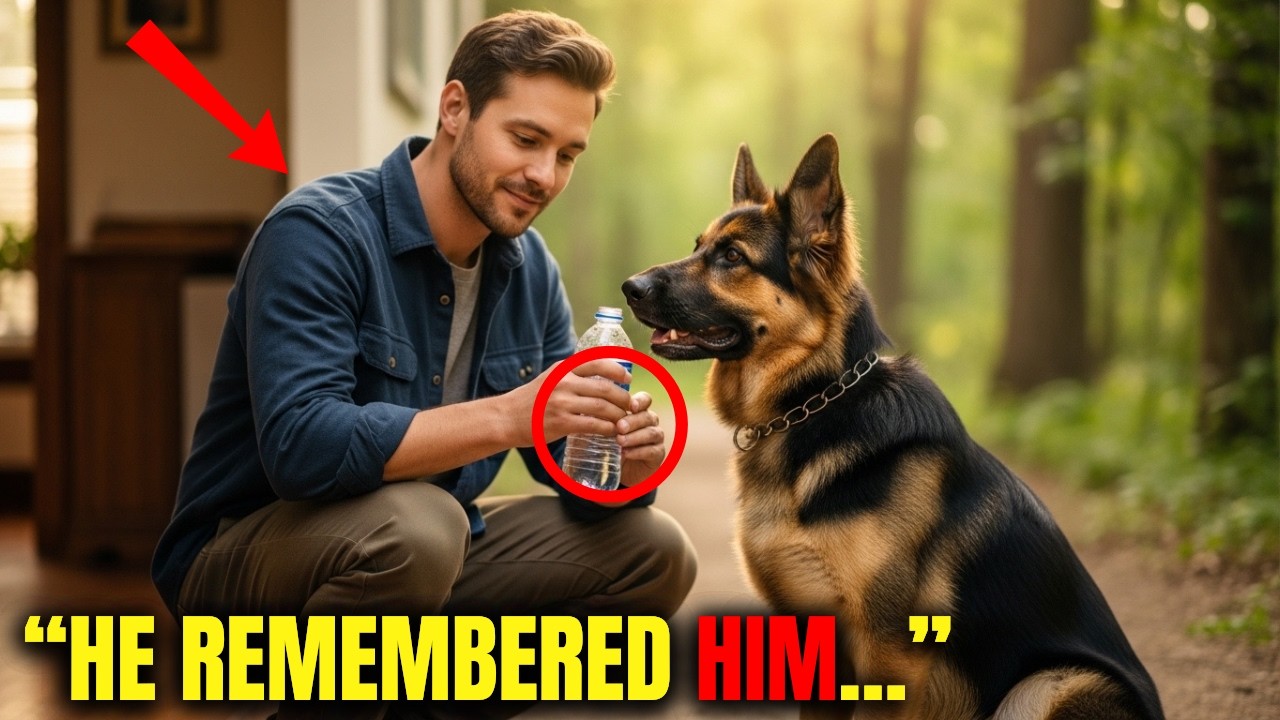 This Rescue Pup Recognizes Someone He Shouldn’t — Owners Demand Answers