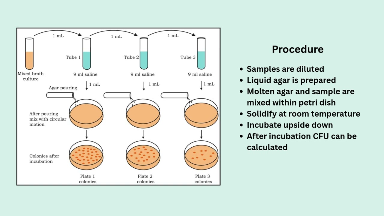 Traditional Methods of Isolation and Enumeration in Bacterial Colonies: The Pour Plate Method