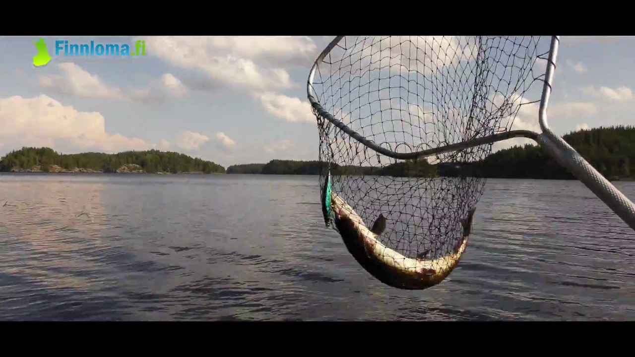 Relaxing & Fishing Holidays at Lake Saimaa / Hotel & Holiday Cottages for Rent in Finland.