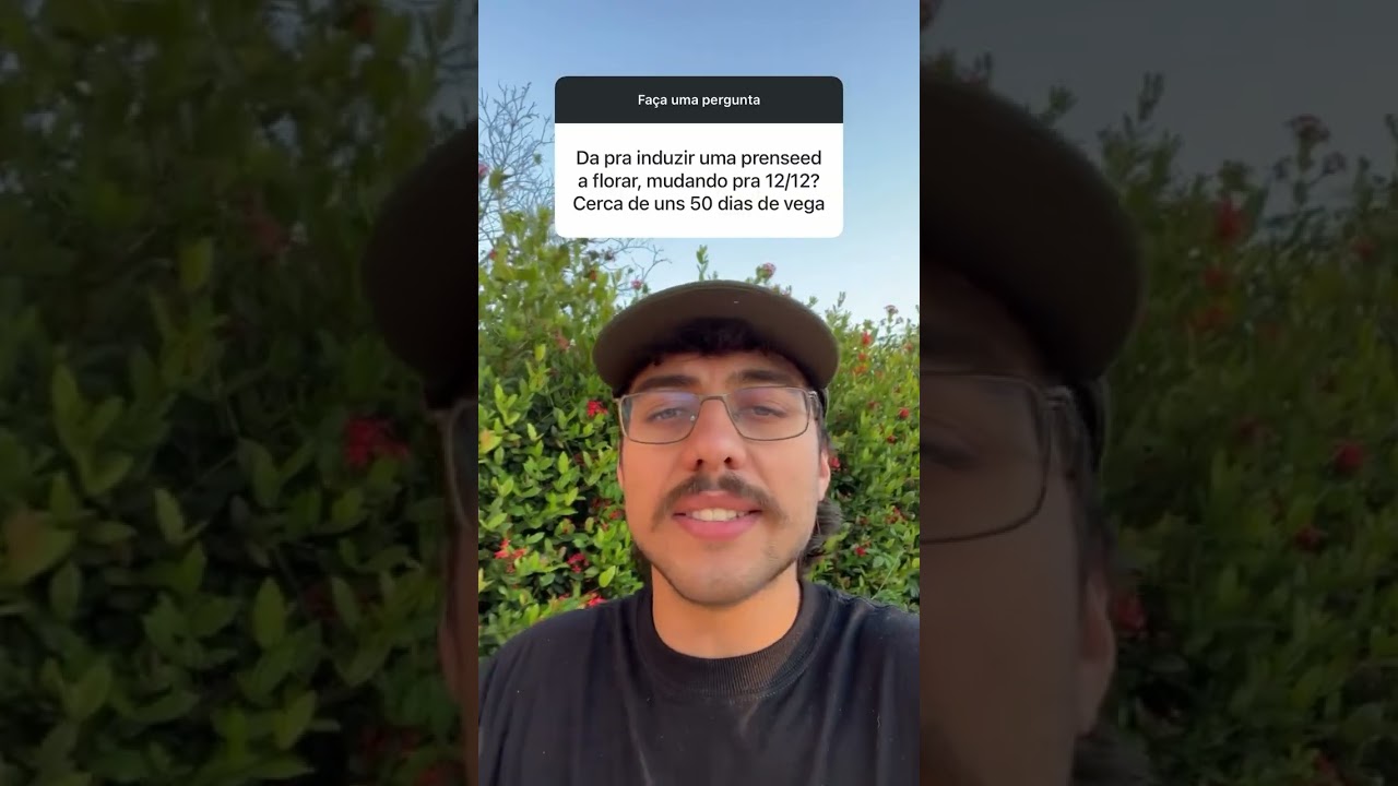 COMO fazer a PRENSEED entrar na FLORA&Ccedil;&Atilde;O?
