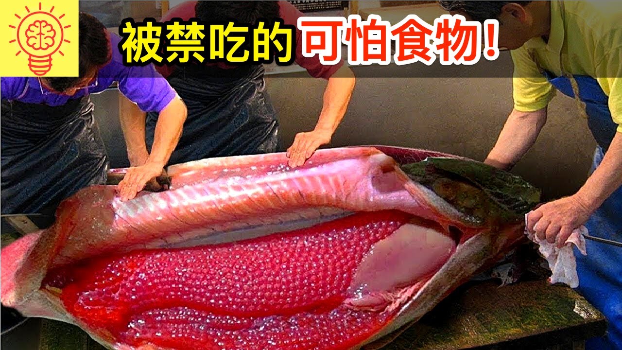 在美國被強迫禁吃的可怕食物！