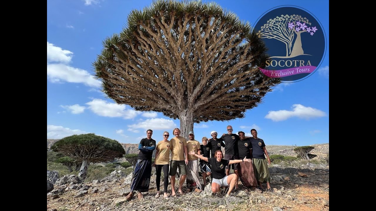 Ostrov Sokotra 2023/Socotra Island 2023 Tours Holiday Expedition Trip