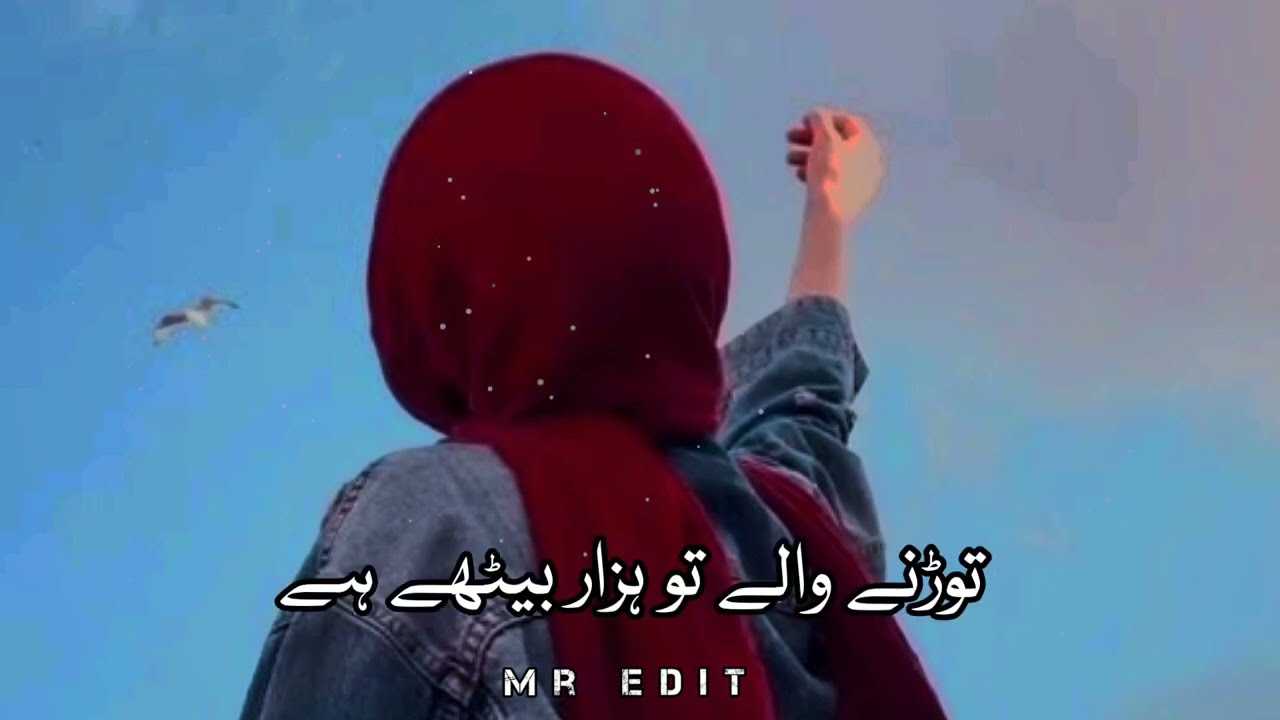 #mrshayar !!Best urdu poetry status!! Viral Shayari!!WhatApps Status #Mr_Edit