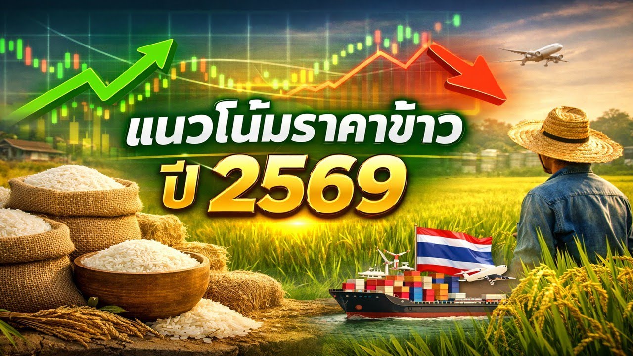 แนวโน้มราคาข้าวปี 2569