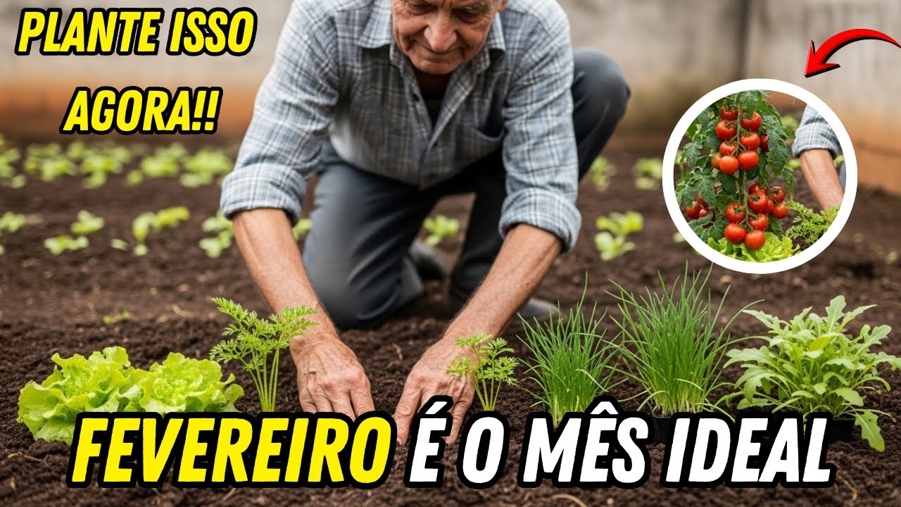 8 Cultivos Que Você DEVE Plantar em Fevereiro Para Colher MUITO