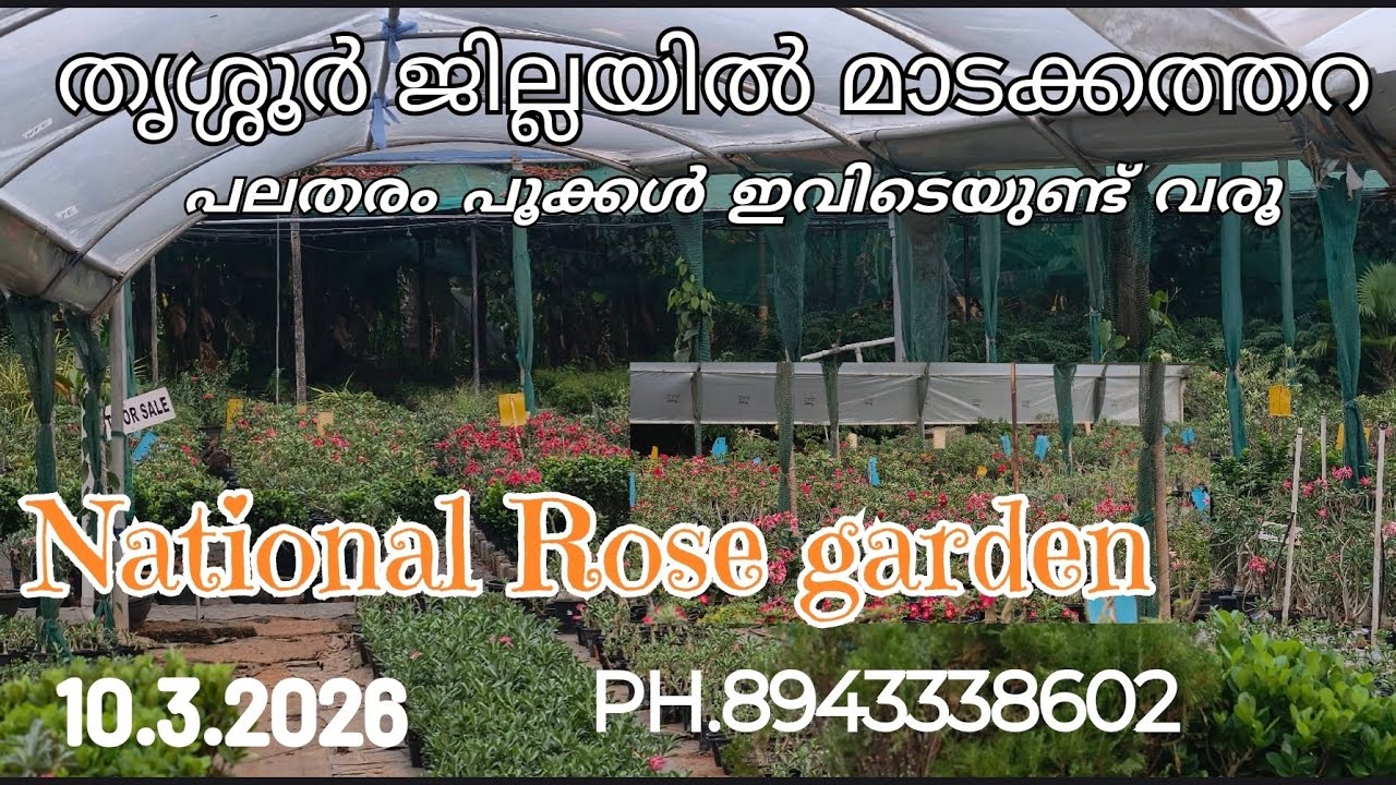 തൃശ്ശൂർ ജില്ലയിൽ മാടക്കത്ര പലതരം പൂക്കൾ ഇവിടെയുണ്ട്# National Rose Garden 🥰🥰#video.PH. 8943338602