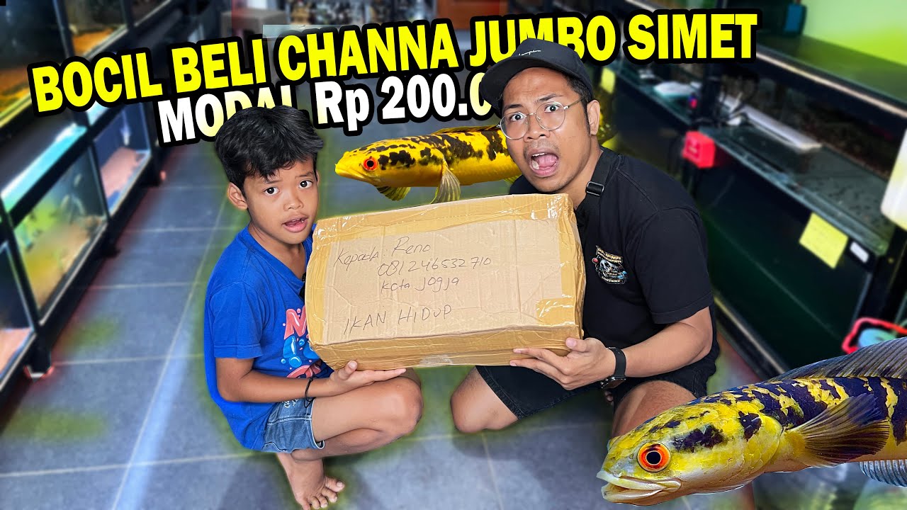 UNBOXING MATI? BOCIL NEKAT BELI CHANNA JUMBO SIMET Rp 200.000 DARI KLATEN