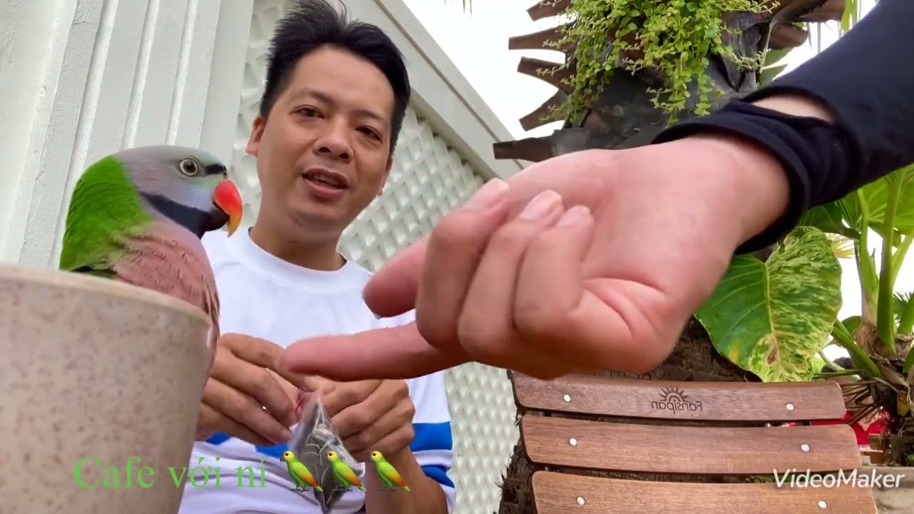 Đi dạo cùng ní iu 🦜🦜🦜🤪🤪🤪