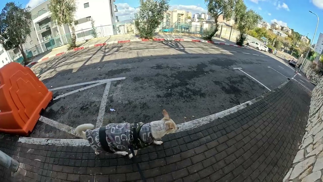 Gopro Max 2 4k60 single lens. Daylight footage. Ultrawide FoV.