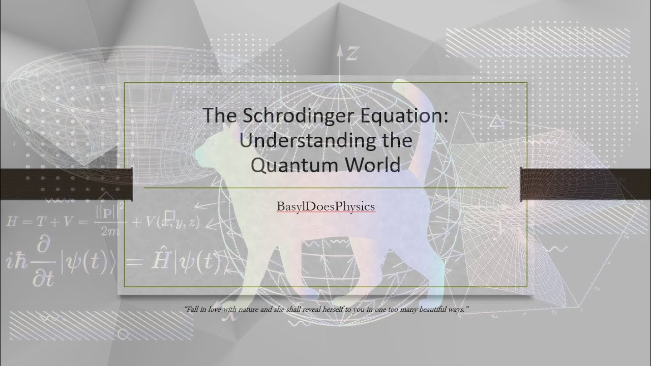 The Schrodinger Equation: Understanding the Quantum World
