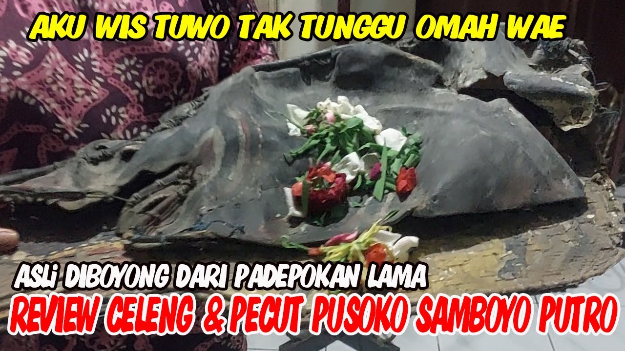 REVIEW CELENG GEMBEL & PECUT PUSOKO SAMBOYO PUTRO