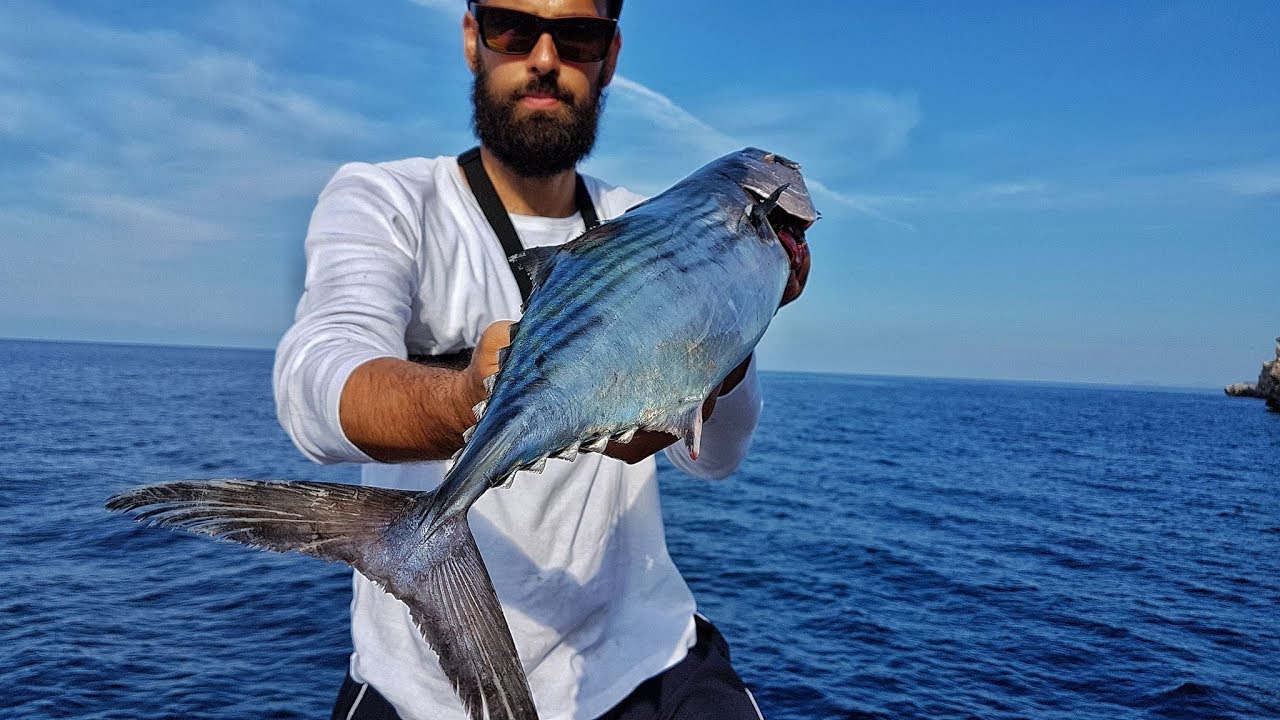 Shore jigging, Adriatic sea - Atlantic bonito catch and cook