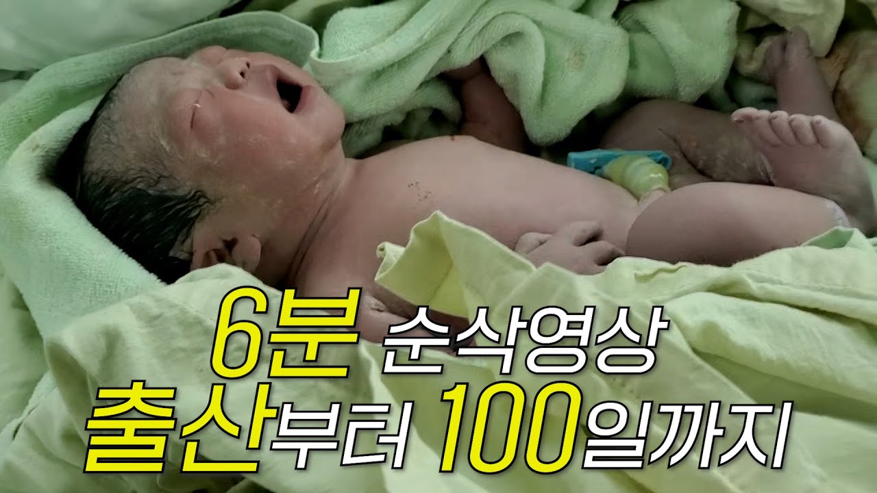 6분순삭 출산부터 100일간 육아 성장기 [샤샤요정]