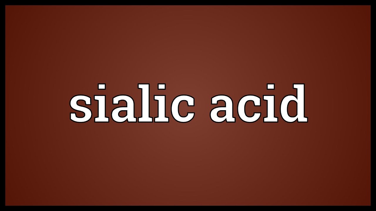 Sialic acid Meaning