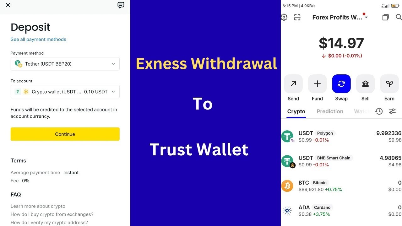 Вывод средств с Exness на Trust Wallet: как перевести USDT с Exness на Trust Wallet.