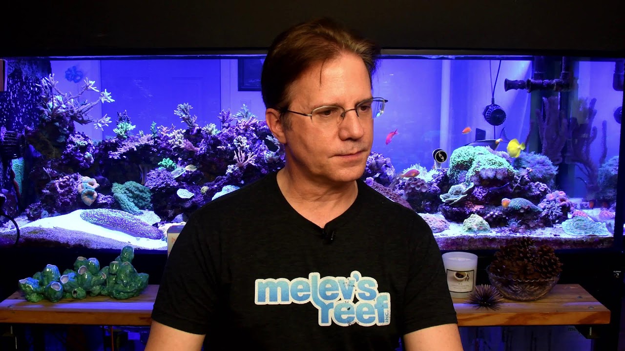 Let's talk about ideal reef temperatures, heaters, and their controllers