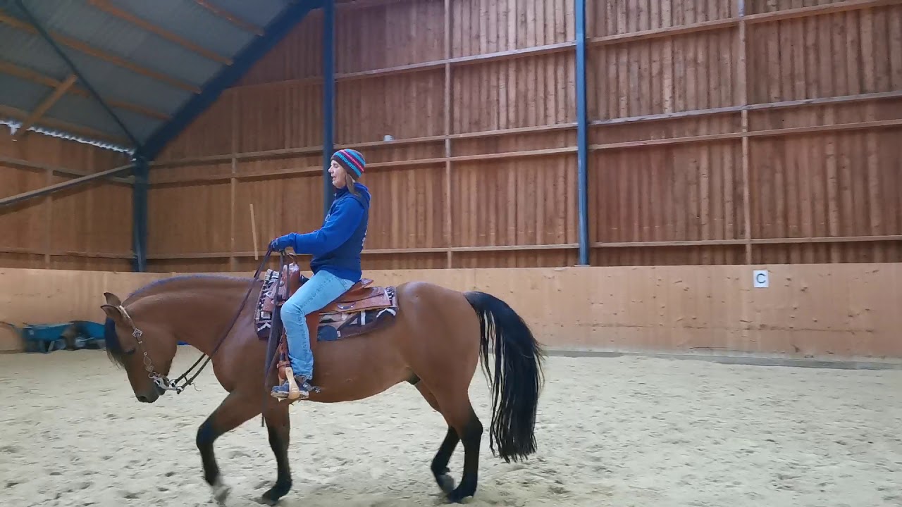 Die Seiteng&auml;nge, einh&auml;ndig auf Westernpferd