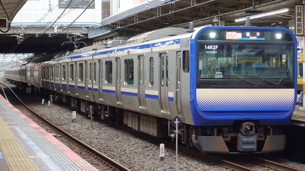【津田沼】総武線快速電車E235系 E217系 総武線各駅停車E231系 成田エクスプレスE259系　子どもの好きな電車