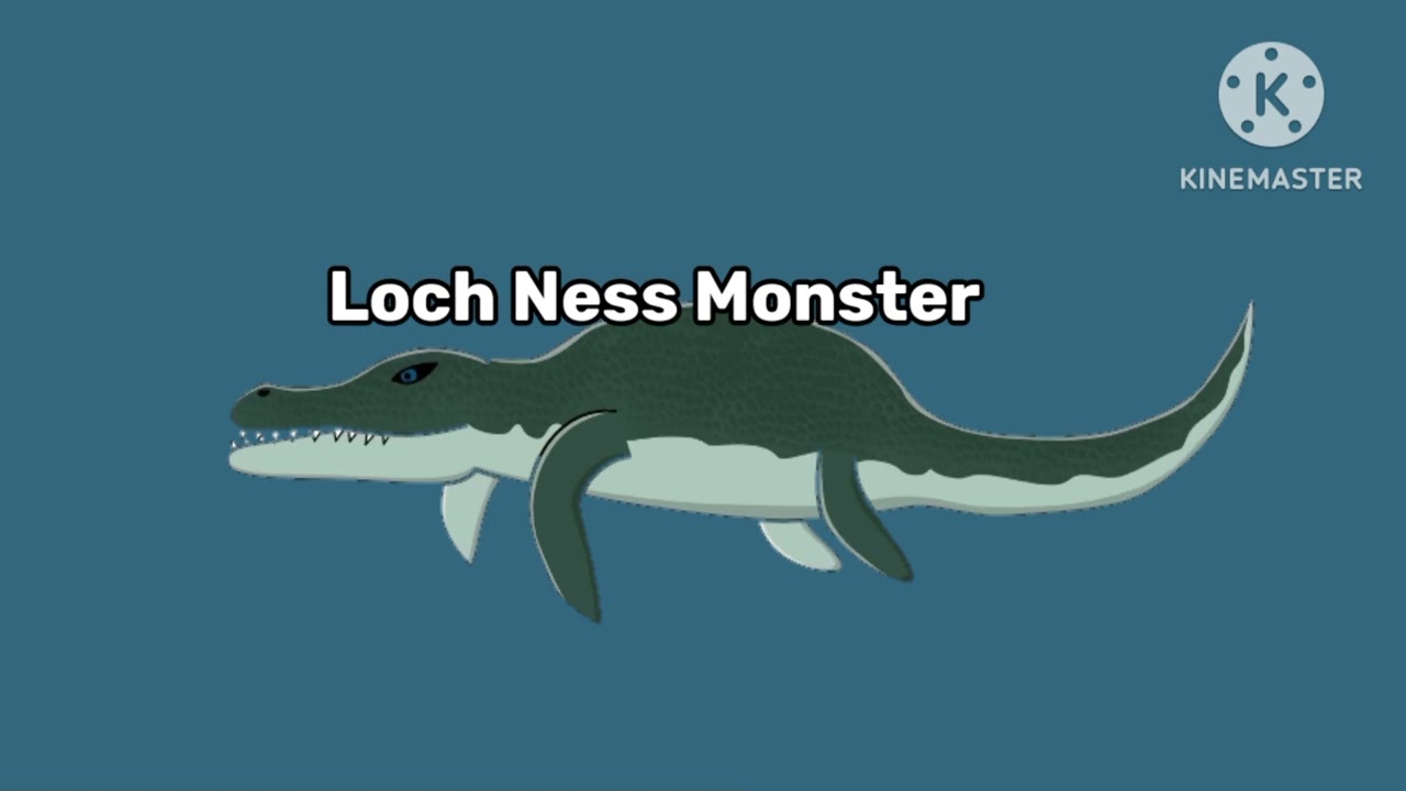 Size Comparison