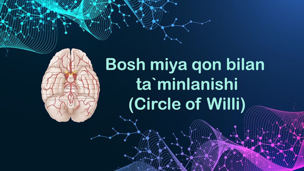 ℂ𝕚𝕣𝕔𝕝𝕖 𝕠𝕗 𝕎𝕚𝕝𝕝𝕚 𝕝 𝕍𝕚𝕝𝕝𝕚𝕪 𝕙𝕒𝕝𝕢𝕒𝕤𝕚 𝕝 𝔹𝕠𝕤𝕙 𝕞𝕚𝕪𝕒𝕟𝕚 𝕢𝕠𝕟 𝕓𝕚𝕝𝕒𝕟 𝕥𝕒`𝕞𝕚𝕟𝕝𝕒𝕟𝕚𝕤𝕙𝕚