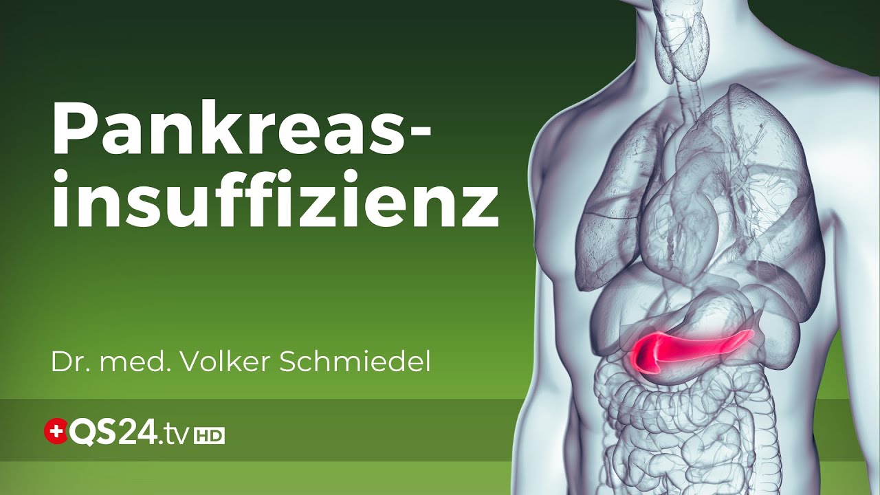 Ist Pankreasinsuffizienz heilbar? | Dr. med. Volker Schmiedel | Naturmedizin | QS24