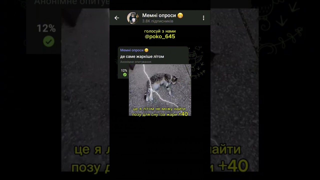 де саме жаркіше літом #опитування #опрос