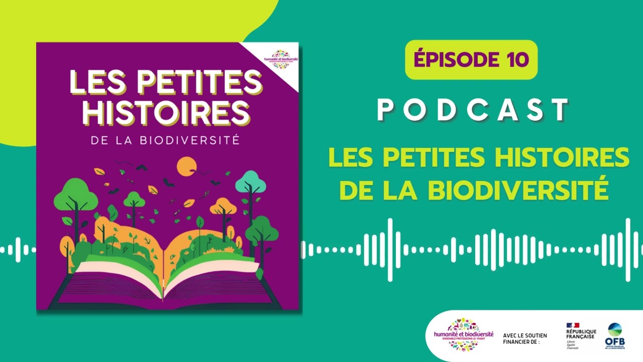 Les sequoias, à l’assaut du ciel - Épisode 10 (Saison 4)