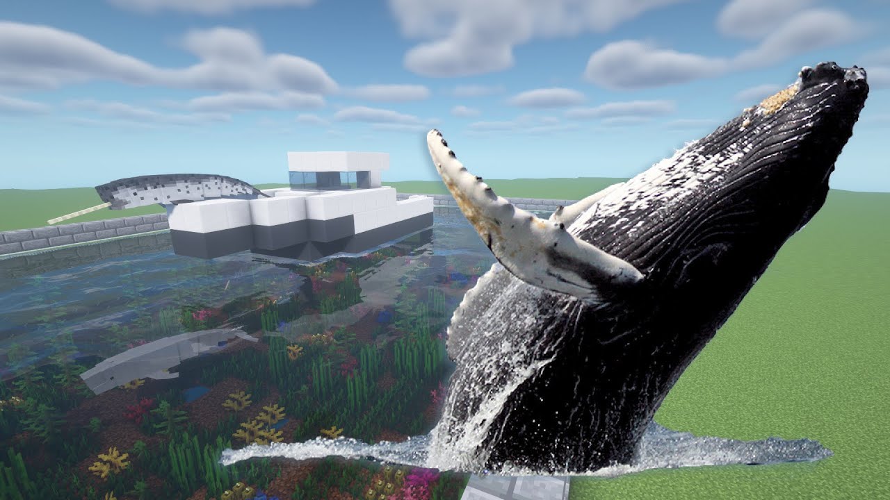 How To Make a Whale Farm in Minecraft PE