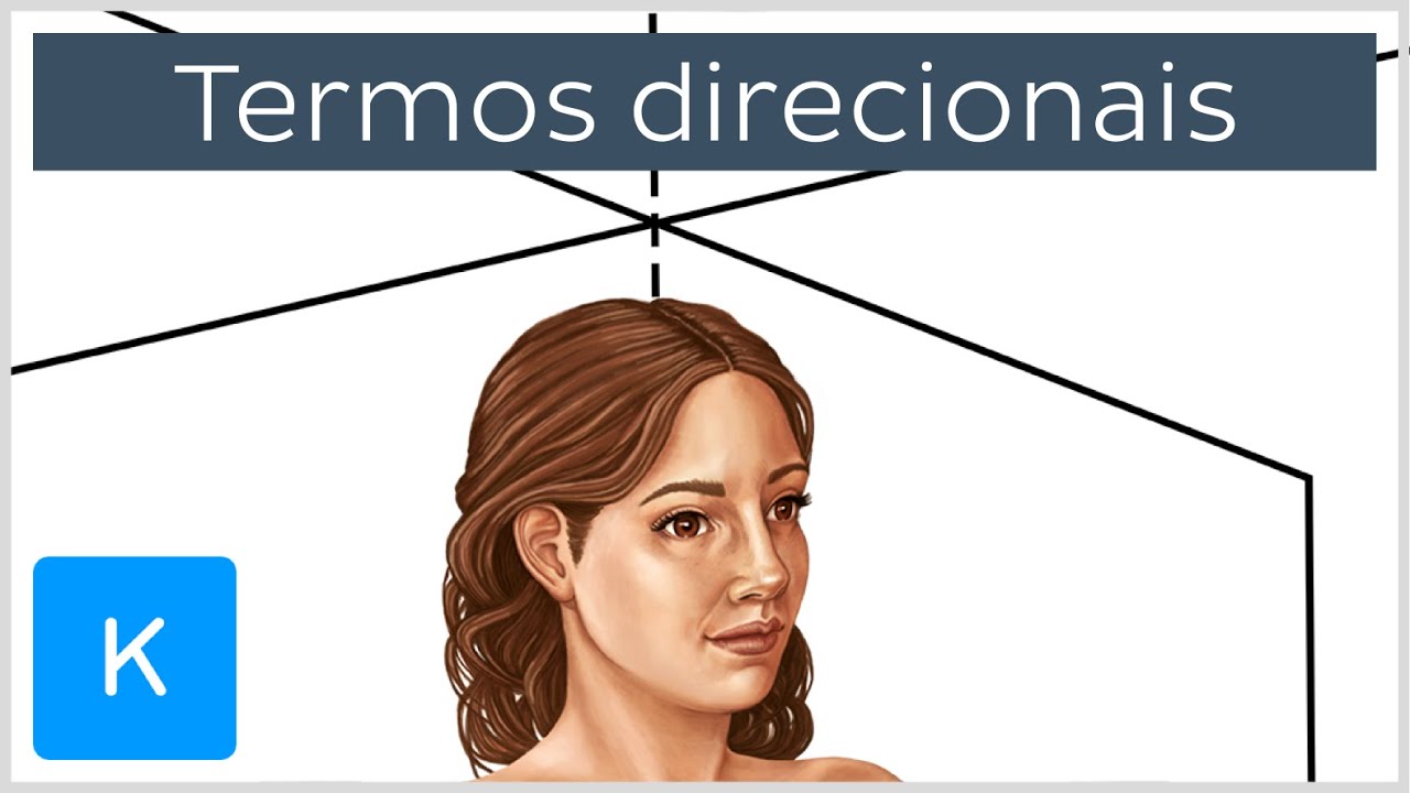 Termos direcionais e planos corporais - Anatomia Humana | Kenhub