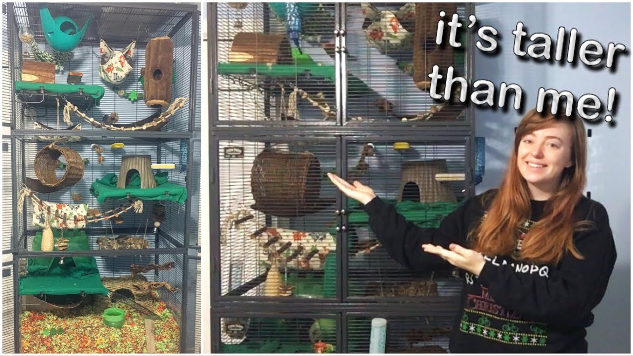 MY RAT CAGE IS 8 FEET TALL | Critter Nation Alterations