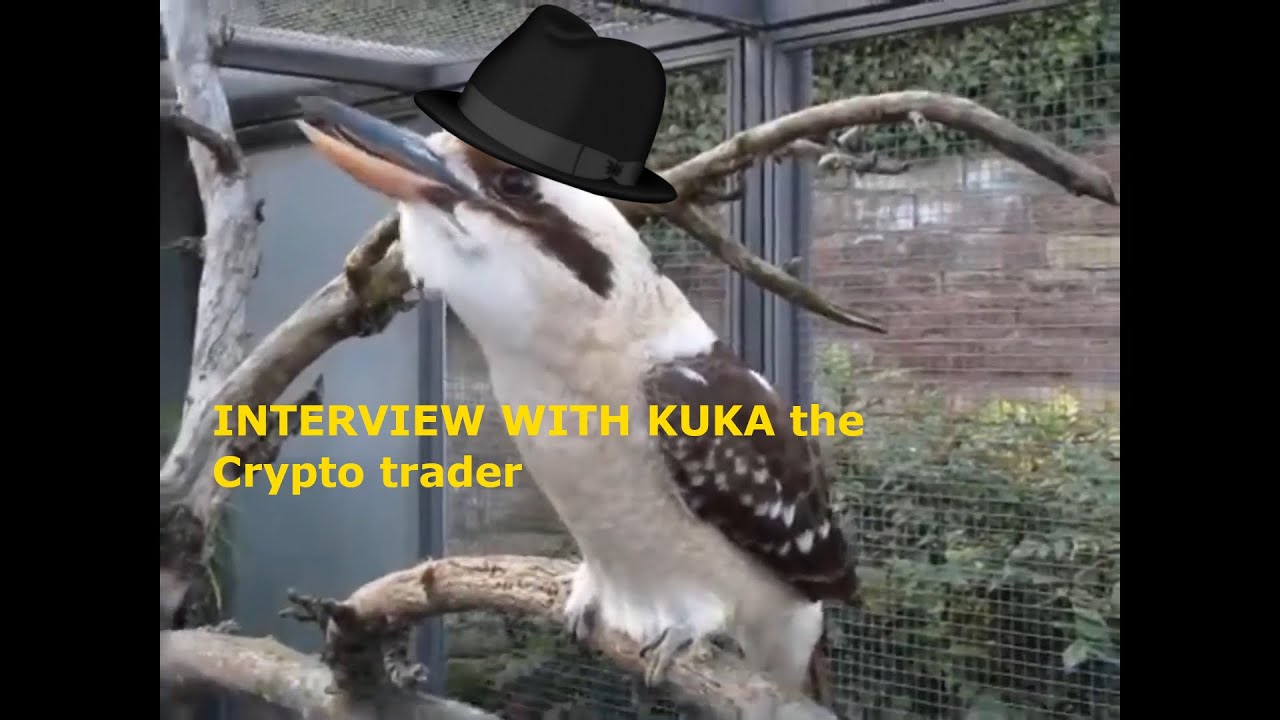 HODL DOGE Millionaire