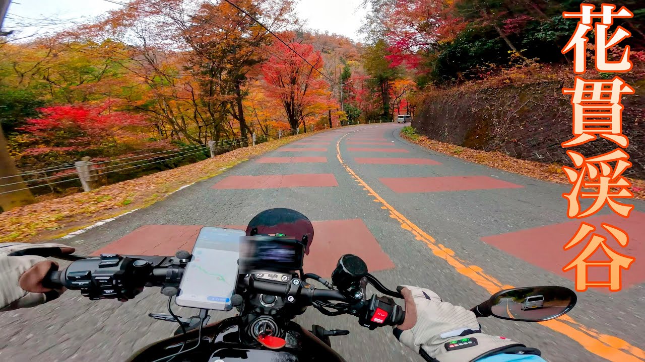 XSR900｜紅葉の花貫渓谷🍁｜SP忠男 POWERBOX FULL RS Titanium Exhaust🔊｜ツーリング