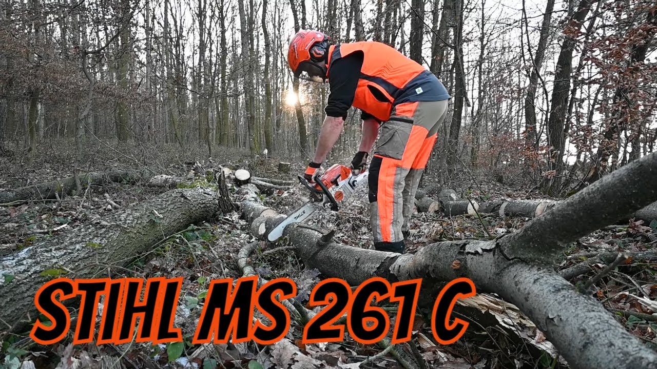 Work in the forest with STIHL MS 261C and VW T4