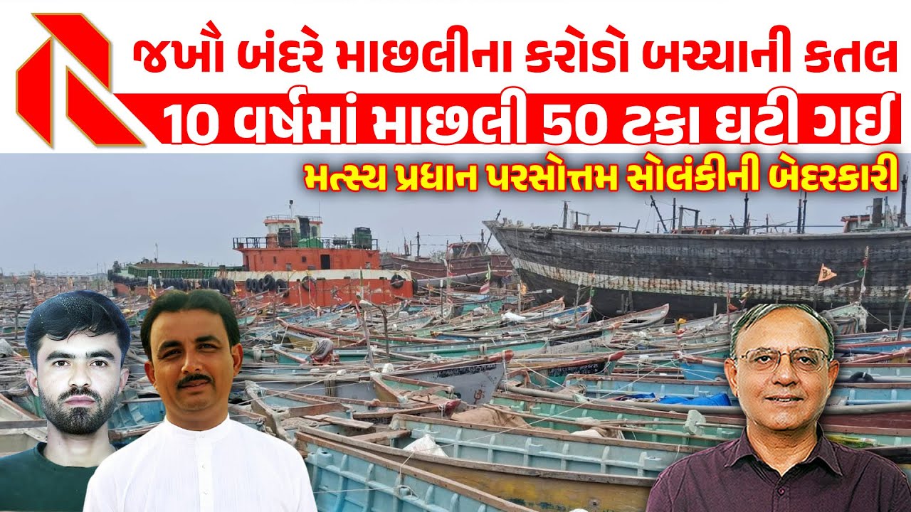 જખૌ બંદરે માછલીના કરોડો બચ્ચાની કતલ | 10 વર્ષમાં માછલી 50 ટકા ઘટી ગઈ | પરસોત્તમ સોલંકીની બેદરકારી