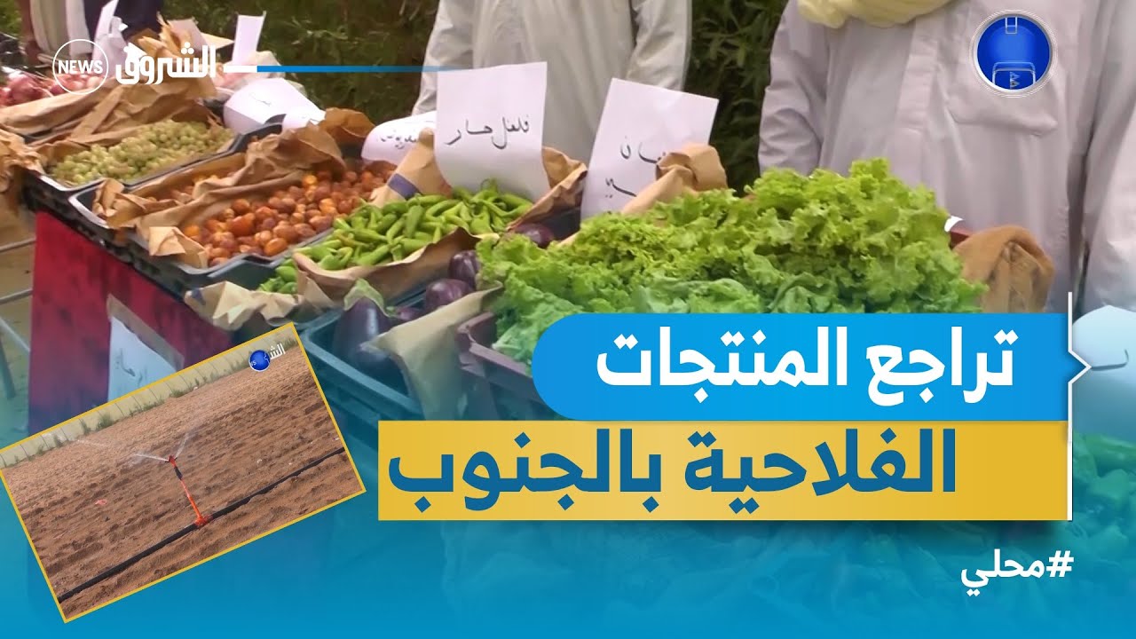 #محلي فلاحو عين أمقل يطالبون بالدعم لرفع الإنتاج بـ #تمنراست
