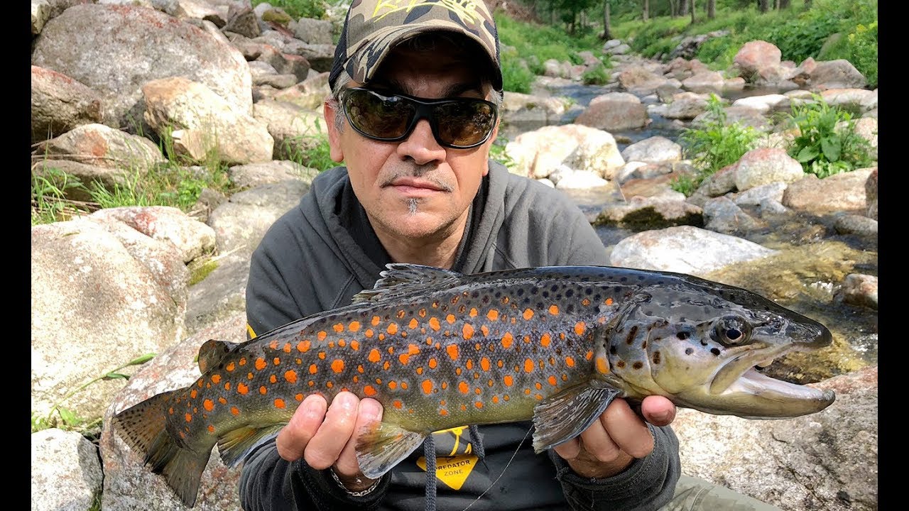 Rapture Lures - Carcoforo il paradiso delle trote parte1 - Softbait