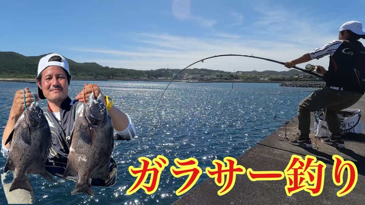 【舞い込み】これが沖縄のガラサー（石垣鯛）釣りだ！