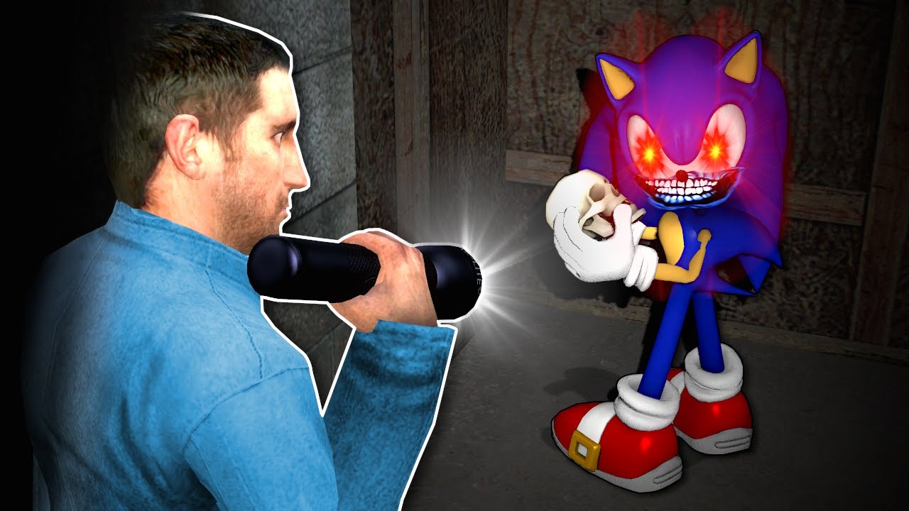 I Found SONIC In My Basement?! (Garry's Mod)