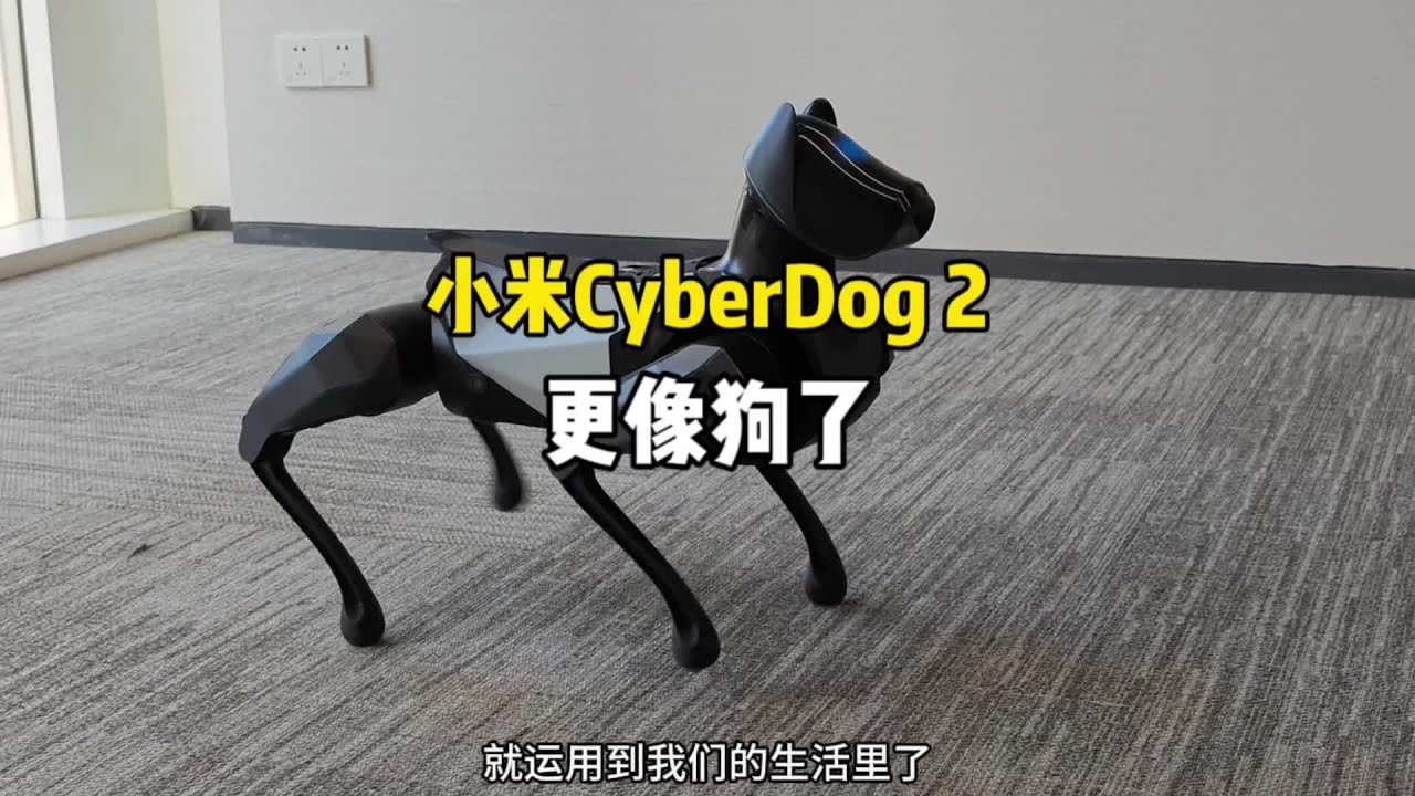 小米CyberDog2铁蛋二代越来越像只真的狗狗了#小米#cyberdog