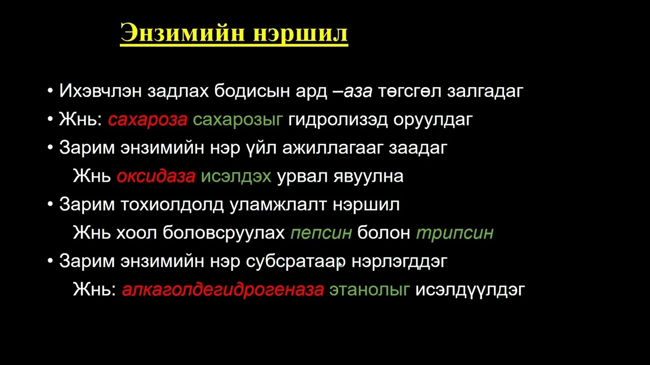 Биологийн хичээл №9 Энзимийн бүтэц, нэршил