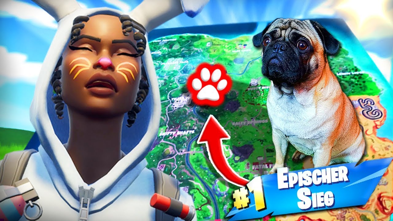 My dog ​​helps me win at Fortnite!