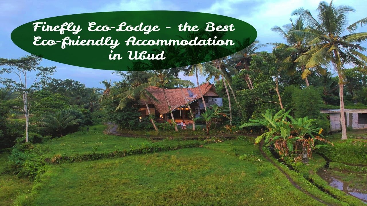 FIREFLY ECO-LODGE IN UBUD, BALI I Bali Travel Vlog I Travel with Shreya