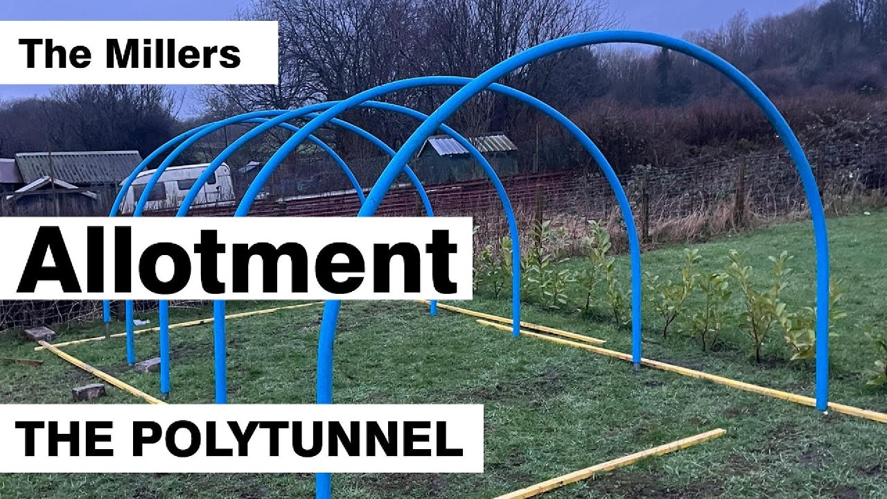 Building our DIY polytunnel part 1 from scratch! 🌱🔧 #DIYGardening #allotmentlife