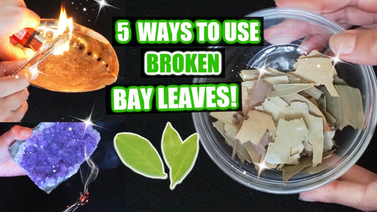 5 WAYS TO USE BROKEN BAY LEAVES FOR MANIFESTING, PROTECTION AND LUCK!