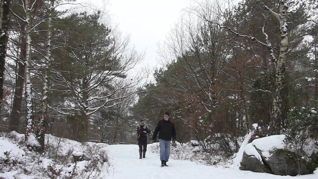 Hisingsparken med Slätta damm.  Vandringstips. Nature in Gothenburg