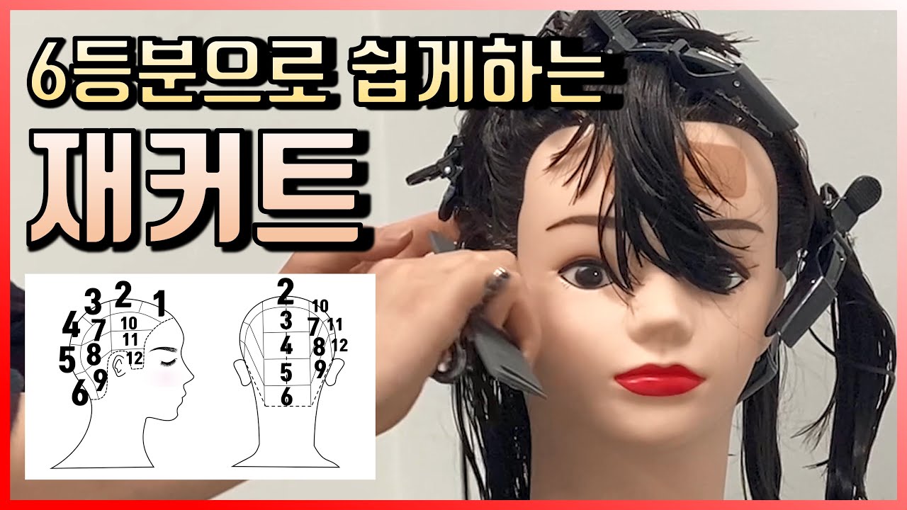 미용사 자격증 | 재커트 하루만에 합격하기! 6등분으로 간단하게!  [권쌤tv]